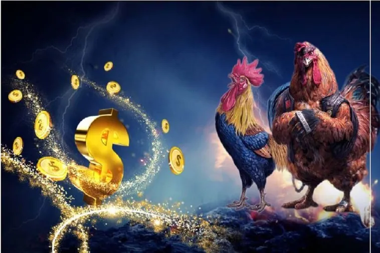 Hướng Dẫn Chơi Đá Gà 3D Tại 789WIN: Chi Tiết Từ A Đến Z
