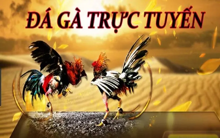Khám Phá Đá Gà 789WIN: Đỉnh Cao Giải Trí Cá Cược Trực Tuyến 1 Khám Phá Đá Gà 789WIN: Đỉnh Cao Giải Trí Cá Cược Trực Tuyến