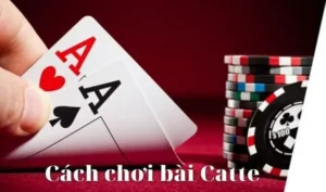 Hướng Dẫn Chơi Sắc Tê Tại Nhà Cái 789WIN Một Cách Chi Tiết