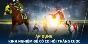 Tìm Hiểu Cá Cược Thể Thao Ảo 789WIN: Hành Trình Giải Trí Đỉnh Cao